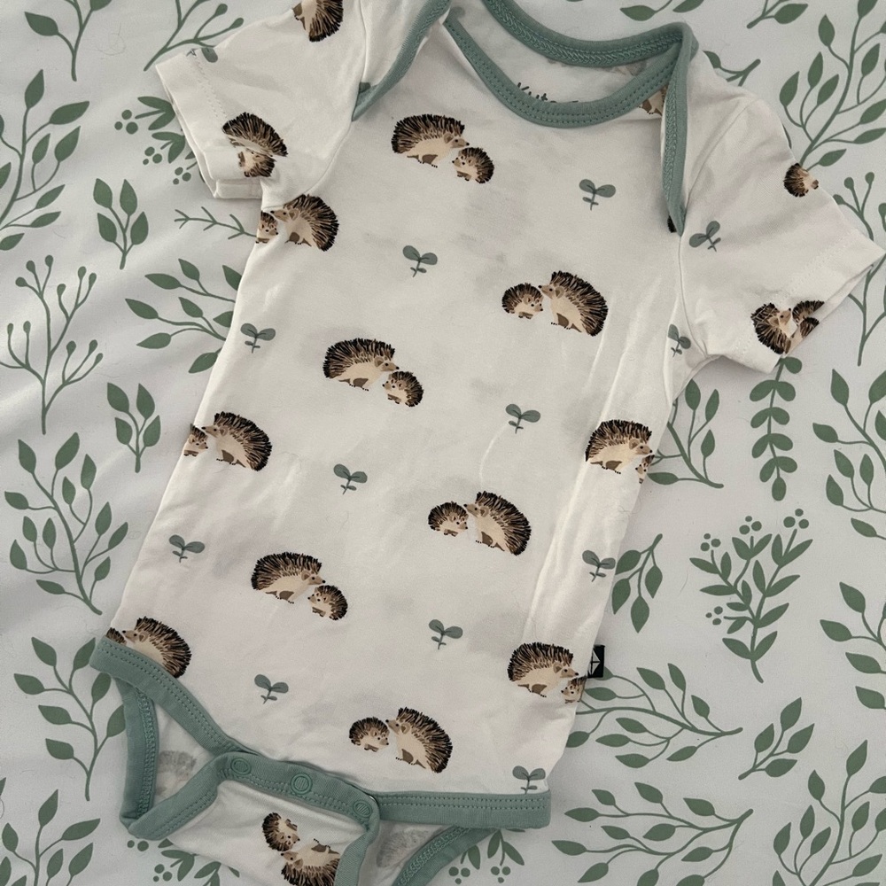 Kyte Baby Green Trim Hedgehog Baby Onesie Bodysuit